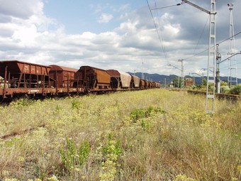 La línia de Casp -a la foto d'arxiu, un tren de mercaderies semiabandonat a l'estació de Móra la Nova- ha estat històricament molt deixada, tot i que ara s'hi vol invertir.  A. SEBASTIÀ