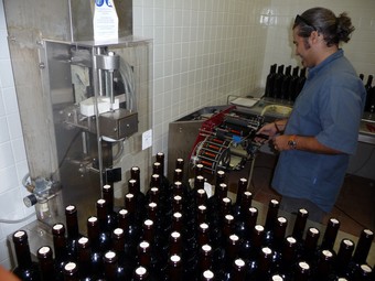 Pep Burguera a la sala d'etiquetatge del viver cellerista, supervisant el procés mecànic d'una part de la producció d'enguany, que comercialitza amb el nom de Mas del Tossal-Espurna. C.G