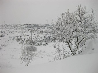 El municipi de La Fatarella, a la terra Alta. continuava ahir colgat per la neu. /  J.M.F