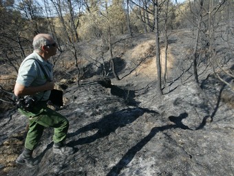 El foc d'Horta de Sant Joan del juliol passat va cremar unes 1.200 hectàrees de massa forestal.  JUDIT FERNÀNDEZ
