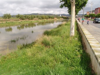 Imatge del riu Foix al seu pas per Cubelles, un entorn que es millorarà pròximament.  R.M