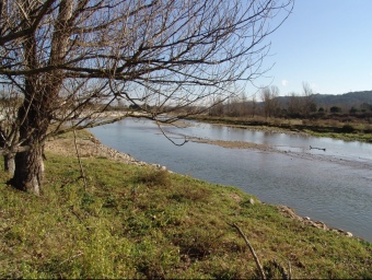 Imatge d'arxiu del riu Tordera al seu pas pel municipi de Sant Celoni, en el tram alt. LL.M