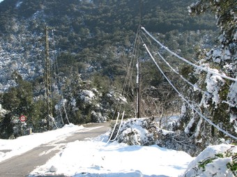 Una línia elèctrica caiguda dificulta el pas a Fogueres de Montsoriu.  ACN / JORDI COLOMER
