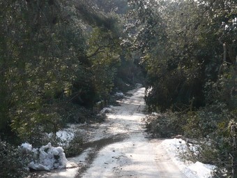 El camí de Castell, tres dies després de la nevada. A.V