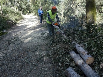 Operaris que treballen al parc tallant els troncs que han caigut. JUANMA RAMOS
