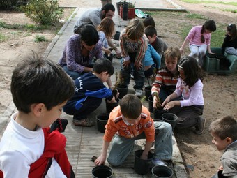 Els més joves fan activitats de replantació i repoblació forestal als parcs i jardins. /  CEDIDA
