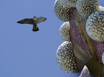 Un dels falcons de la Sagrada Família, en una imatge d'arxiu. EL PUNT