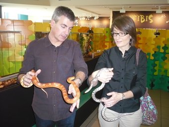 Dos responsables de l'exposició mostren dos dels exemplars d'animals que es poden trobar a l'exposició LL.M