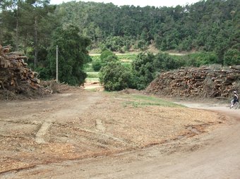 Neteja d'arbres acumulats ara a banda i banda del camí cap a Cerdanyola des de can Borrell.  E.ANSOLA