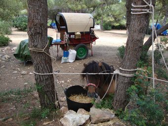 Moment de descans de la Volta al Parc d ela Vallesa de Calp. /  CEDIDA