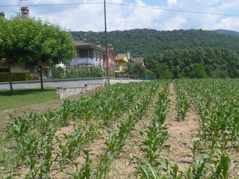 El sòl agrícola conviu a Bianya amb l'urbanitzat.  J.C