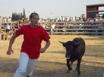 Les festes amb bous són una tradició molt arrelada a les Terres de l'Ebre. A.S