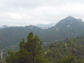 Imatge de la zona on anirà la pedrera , a tocar de Coll Rodó i gairebé annex a Vilanova d'Escornalbou. N.R