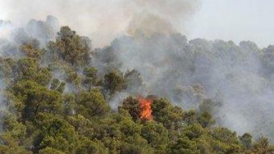 L'incendi va afectar tres centes setanta-cinc hectàrees.