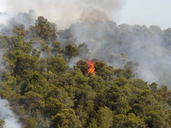 L'incendi va afectar tres centes setanta-cinc hectàrees.