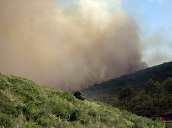 Columna de fum de l'incendi forestal d'Olivella (Garraf), que ja ha estat controlat. ACN