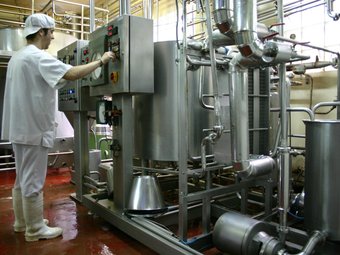 Procés de producció intern dels iogurts de l'empresa La Fageda. ALBERT RIERA