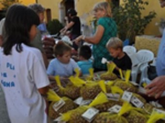 La fira ofereix degustació i venda d'avellanes, a més de parades amb altres productes artesans.  SORTIM