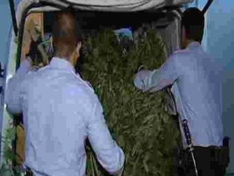 Agents dels Mossos d'Esquadra traient la marihuana de la furgoneta TV3