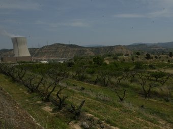 Vista dels terrenys on es podria construir el cementiri nuclear, a Ascó JUDIT FERNÁNDEZ