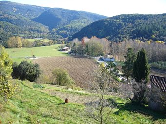 Un conreu situat en un paratge de la Vall de Llémena. DINAMIS