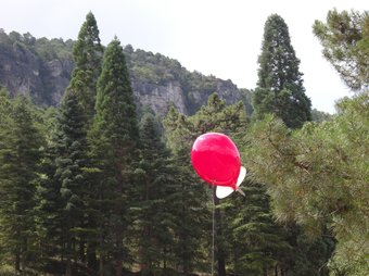 En l'experiment científic s'han realitzat mesures a diferents altures que s'han obtingut amb globus aerostàtics i amb vols en avioneta. EL PUNT