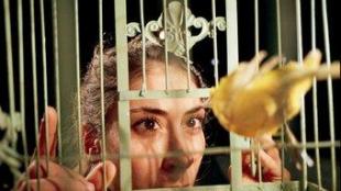 Artemis Stavridi observa un dels canaris reclosos en les gàbies que pengen a l'escenari en aquesta peça. J.P. STOOP