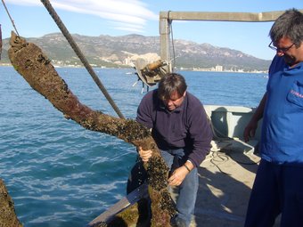 Miquel Carles mostra els musclos que produeix a mar obert. L.M