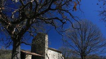 Els roures centenaris potencien la bellesa de l'ermita romànica de Sant Valentí de Salarça.  MANEL LLADÓ