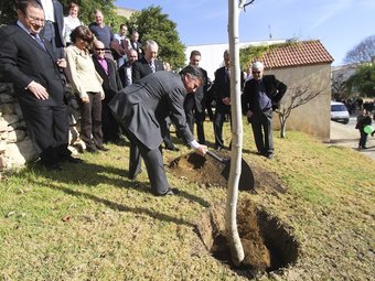 L'alcalde de la Nou, Jordi Cañellas, va participar a la plantada del noguer del mil·lenari D. B