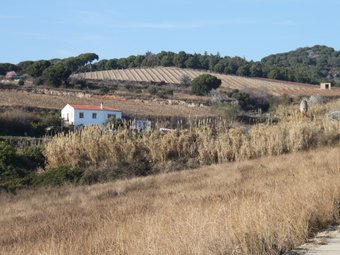 La vall de Rials és una gran zona agrícola, entre els nuclis urbans d'Alella i Teià. G.A