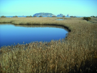 Vista de les illes Medes des de la llacuna del Ter Vell (punt número 7 de l'itinerari de descoberta).  ANG