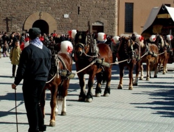 Carruatges, cavalls i traginers es preparen a la plaça de l'Església.  SORTIM