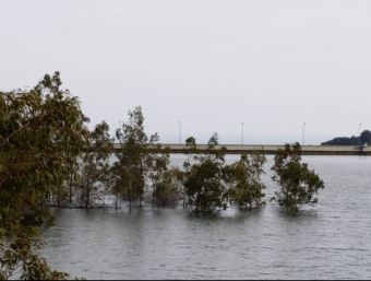 El pantà de Riudecanyes està ple, i ahir inundava alguns terrenys adjacents. J. CARLOS LEÓN