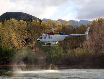 Les larves de mosca negra s'acumulen al riu, el tractament es fa des d'un helicòpter. ACN