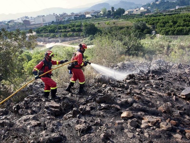 Els valencianistes volen preservar la natura i evitar incendis com els d'abril. ARXIU