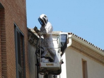 Un apicultor treballant a la façana EL PUNT