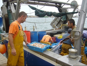 L'activitat pesquera es manté als ports de la Ràpita i les Cases d'Alcanar. L.M