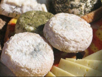 Alguns formatges que es podran trobar al mercat de Pollestres.