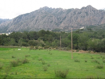 El paratge a la falda de Montserrat on hi ha prevista l'ampliació del polígon industrial de Ginesteres, al municipi de Collbató. ACN