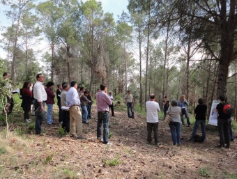 Experts i silvicultors, ahir al matí en un visita sobre el terreny a Forallac per analitzar els treballs realitzats per netejar els boscos. EL PUNT