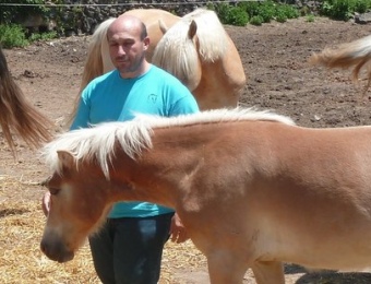 En Juti estima els cavalls. Va ser el primer al país a fomentar la hipoteràpia per les persones amb disminució. J.C