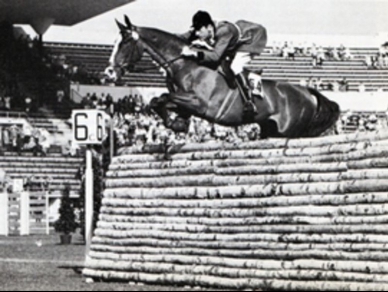 Jonqueres d'Oriola als Jocs Olímpics d'Hèlsinki amb el cavall Alí Baba.