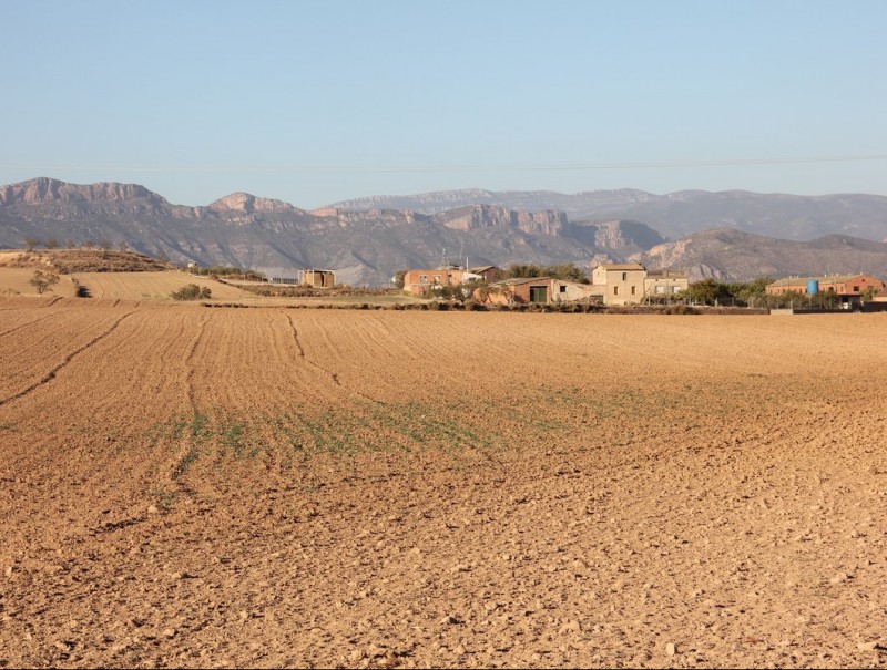Els secans de Balaguer es troben a ponent de la ciutat, en direcció a Algerri i Alfarràs. D.M