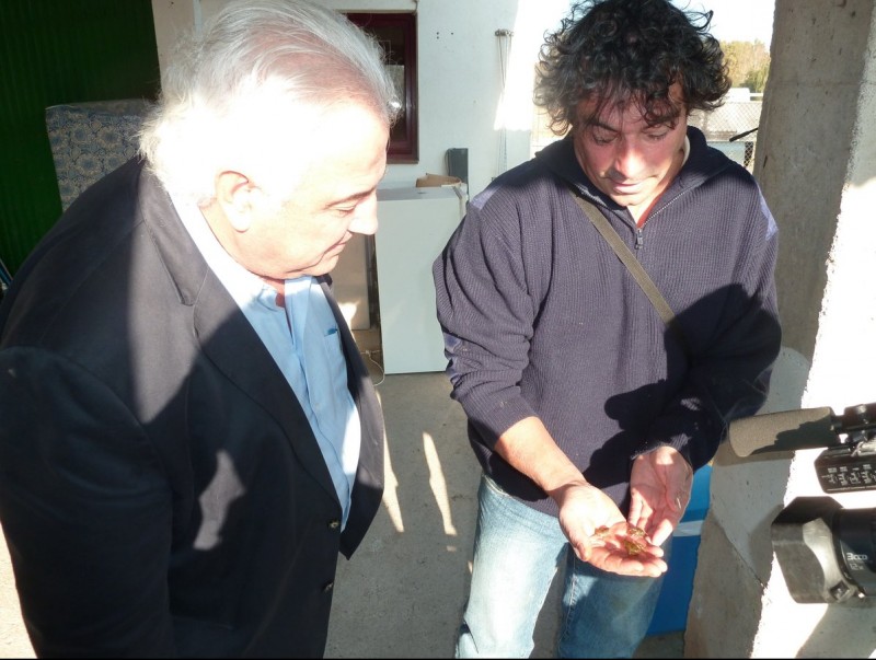 L'alcalde d'Olot, Josep Maria Corominas, amb un dels tècnics que mostra diferents exemplars dels crancs que van ser reintroduïts a la zona de la Vall de Bianya. J.C