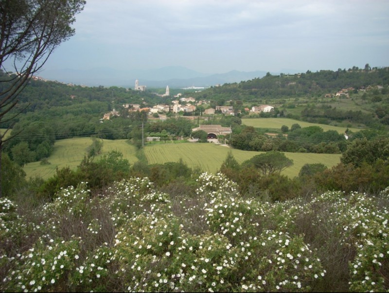 Una vista de la vall de Sant Daniel, on hi ha un dels acords de custòdia del territori de la demarcació. DANI VILÀ