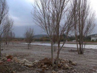 Imatge de la neteja i regeneració del riu Algar al seu pas per Altea. ARXIU