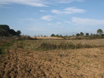 Una imatge dels terrenys on està previst instal·lar aquest càmping ecològic. ACN