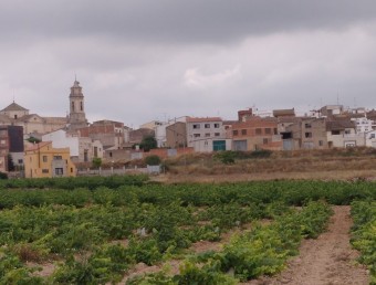 Una perspectiva del municipi de Vilabella, a l'Alt Camp, amb vinyes als afores ANNA ESTALLO