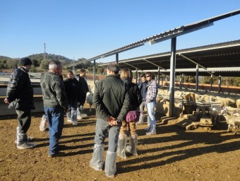 Els participants al curs de reproducció i genètica ovina, que fa pocs dies que s'ha acabat. EL PUNT AVUI